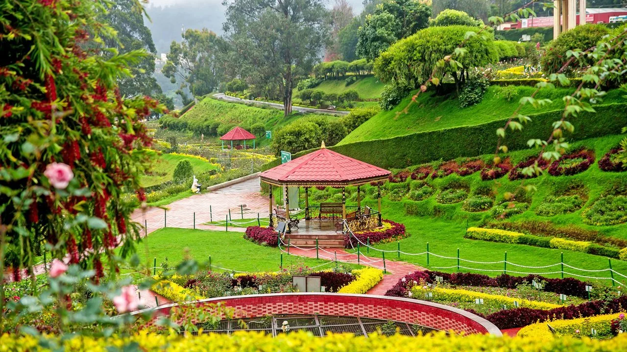 Ooty Bliss: Where Nature Meets Peace Mixed 4x400m Relay Ooty