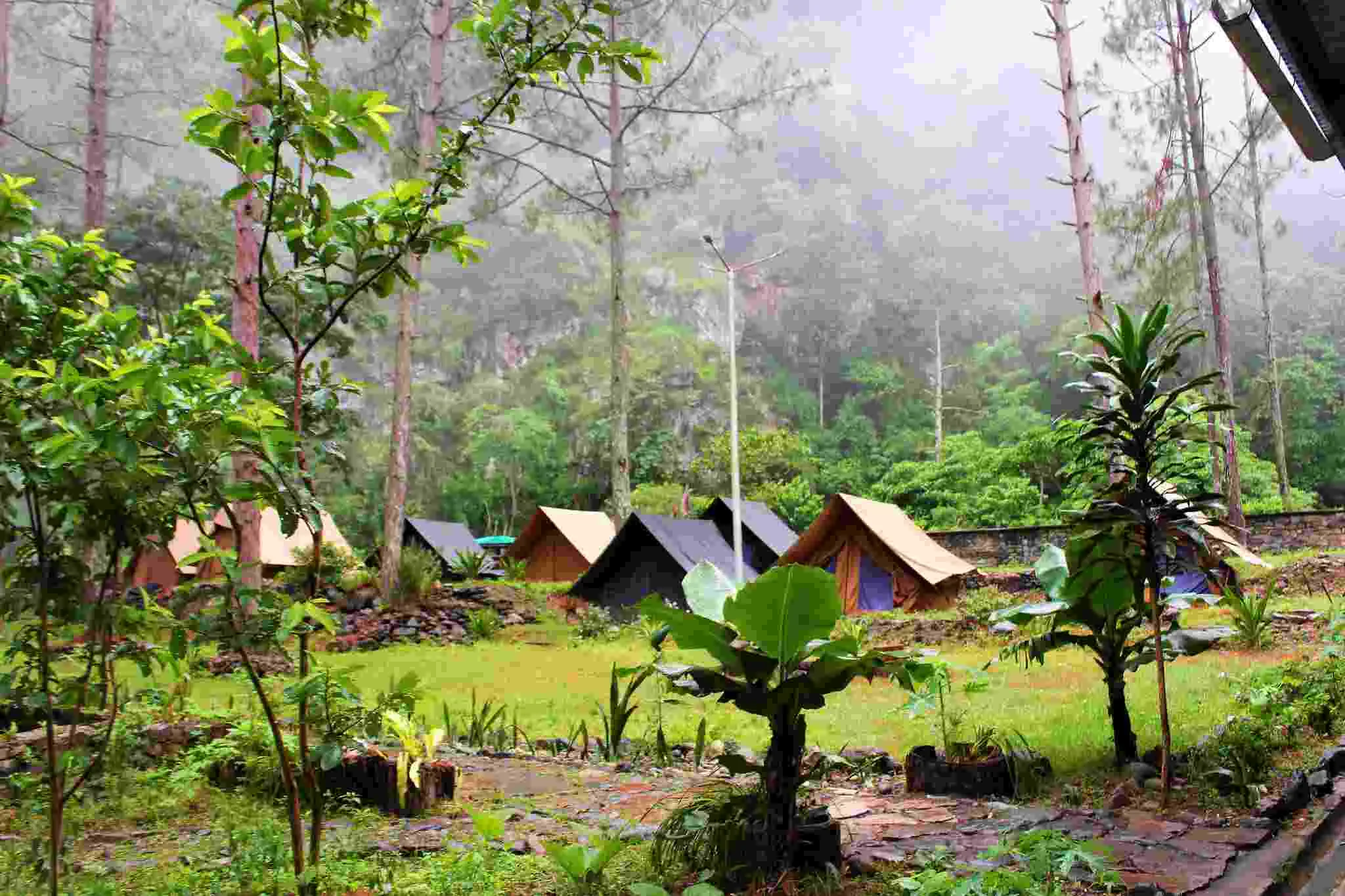 Panbang: Discover Bhutan’s Untouched Jungle Beauty Anil Menon Spacewalk Panbang
