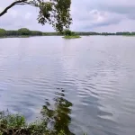 Shekha Jheel Ramsar Site