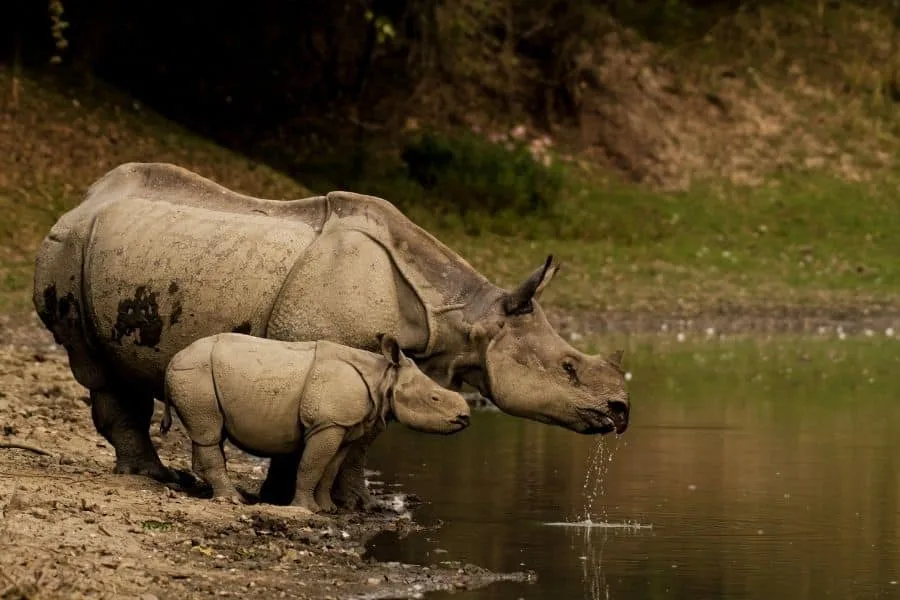 World Heritage Sites in India