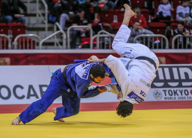 judo