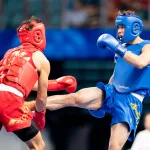 wushu