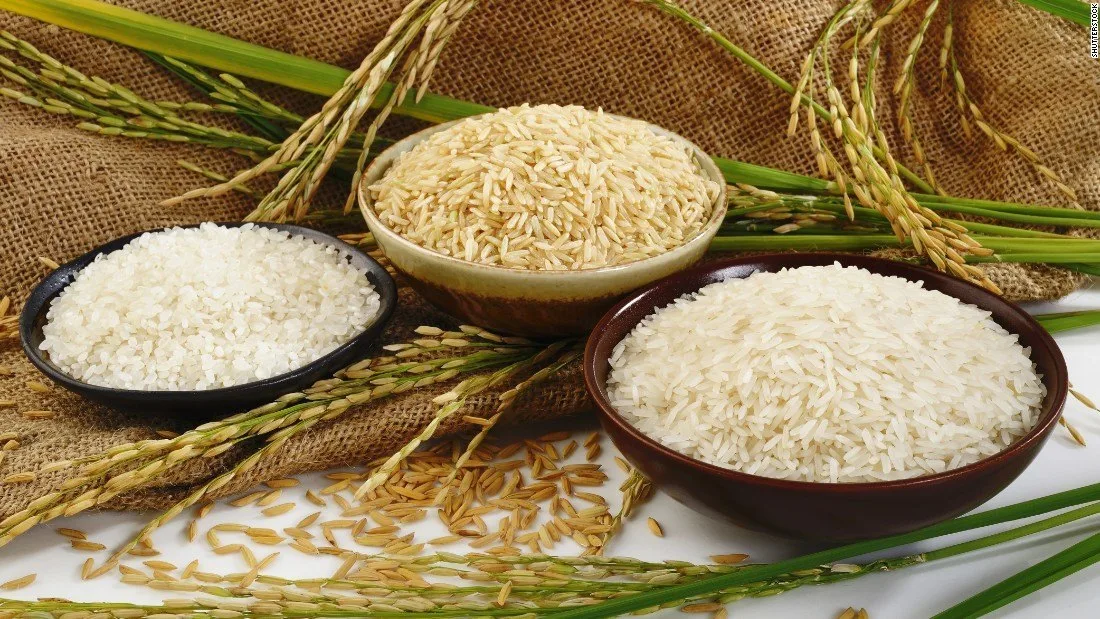 APEDA Basmati Centre Pilibhit to Boost Farmers and Exports Ankush Panghal APEDA Basmati Centre Pilibhit