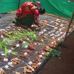 Araku Seed Festival Biodiversity