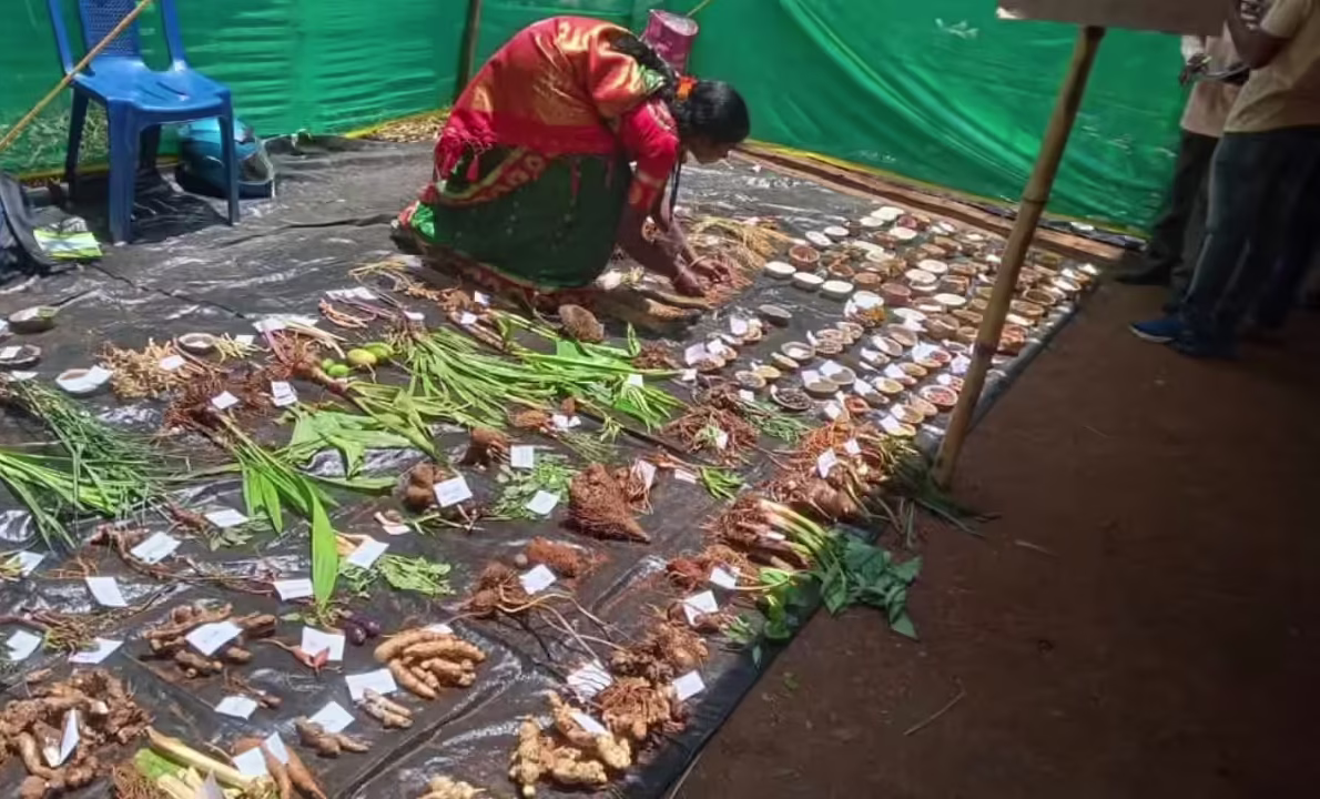 Araku Seed Festival Biodiversity