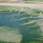 Drainage Patterns and Drainage Systems