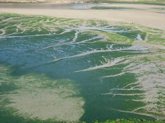 Drainage Patterns and Drainage Systems