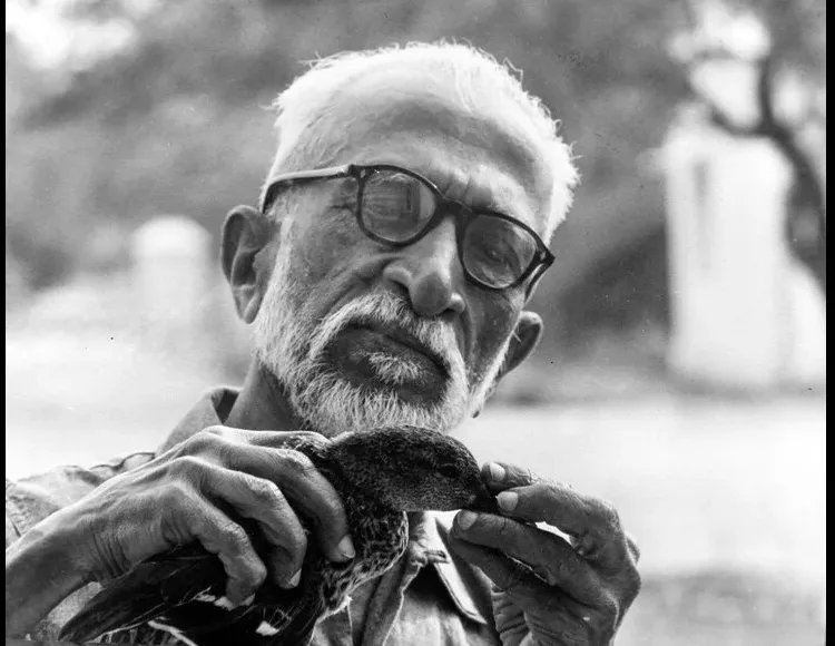 India’s Green Guardians: Environmentalists & Naturalists Who Changed the Nation Environment
