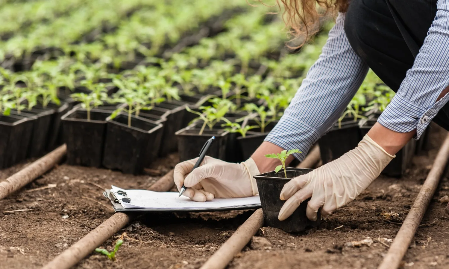 Soil Health Card Scheme