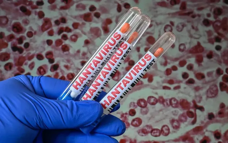 India Hantavirus Network
