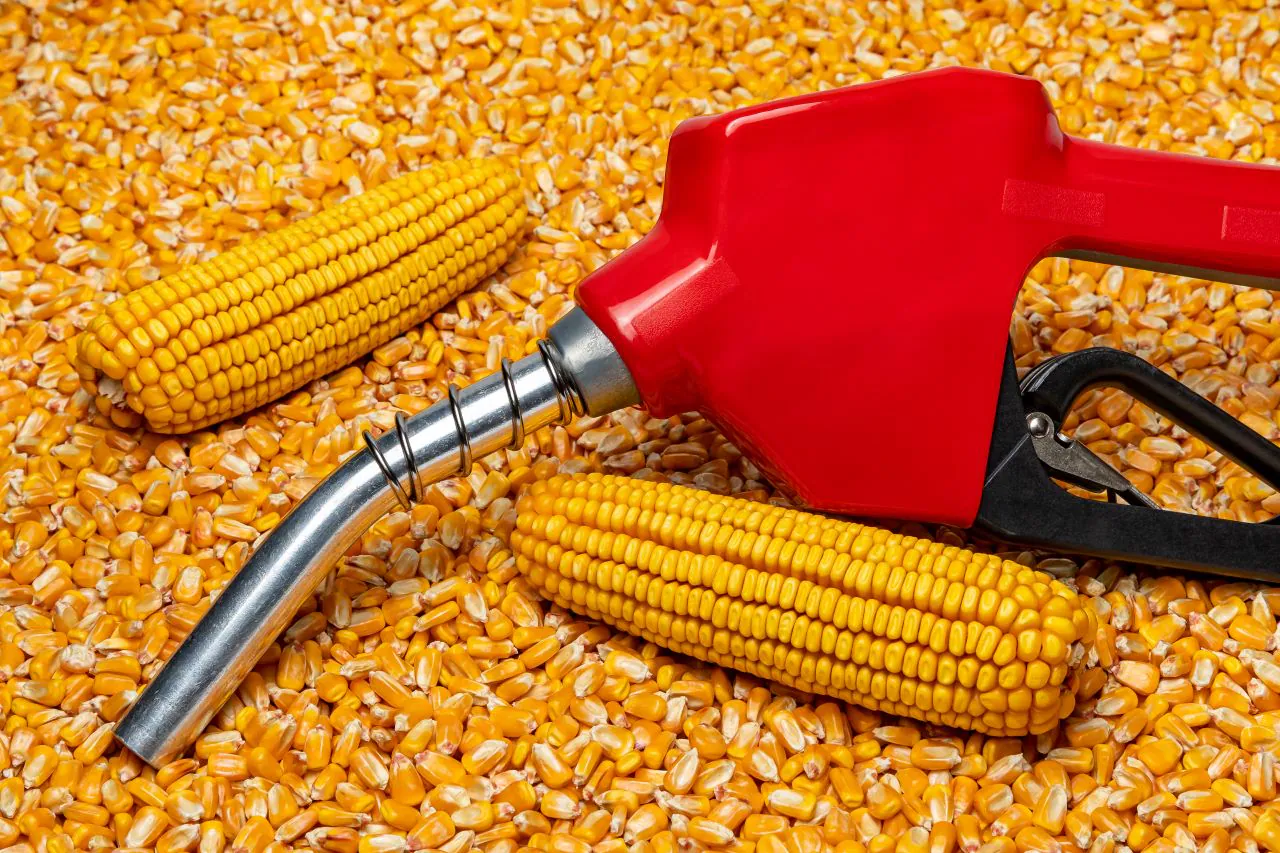 India Maize Ethanol Boost 