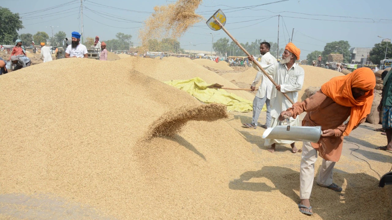 Kharif Crops MSP Hike 