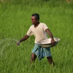 Kharif Crops MSP Hike