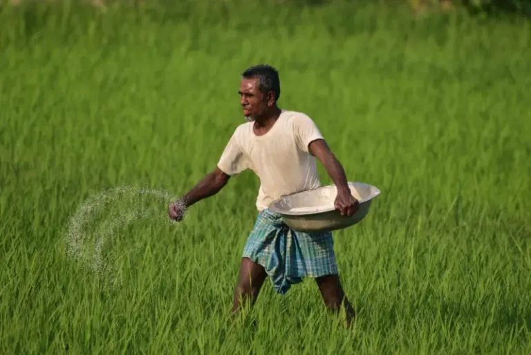 Kharif Crops MSP Hike