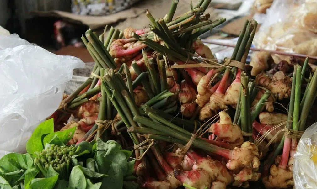 Mizoram Ginger Mission 2026