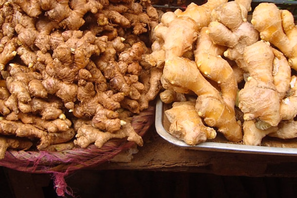 Mizoram Ginger Mission 2026