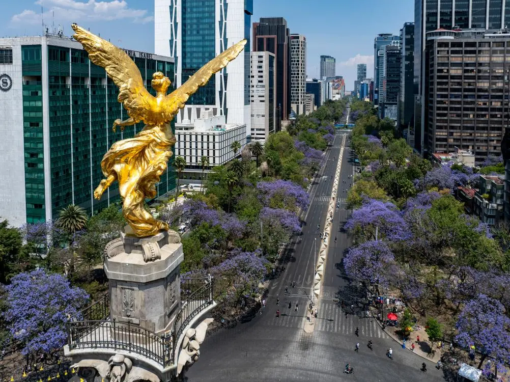 NISAR Mexico Subsidence