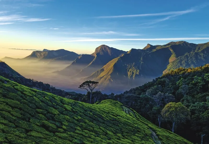 Western Ghats 