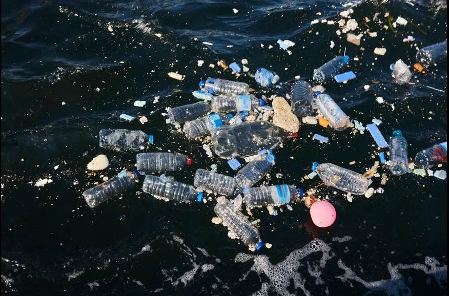 World Environment Day