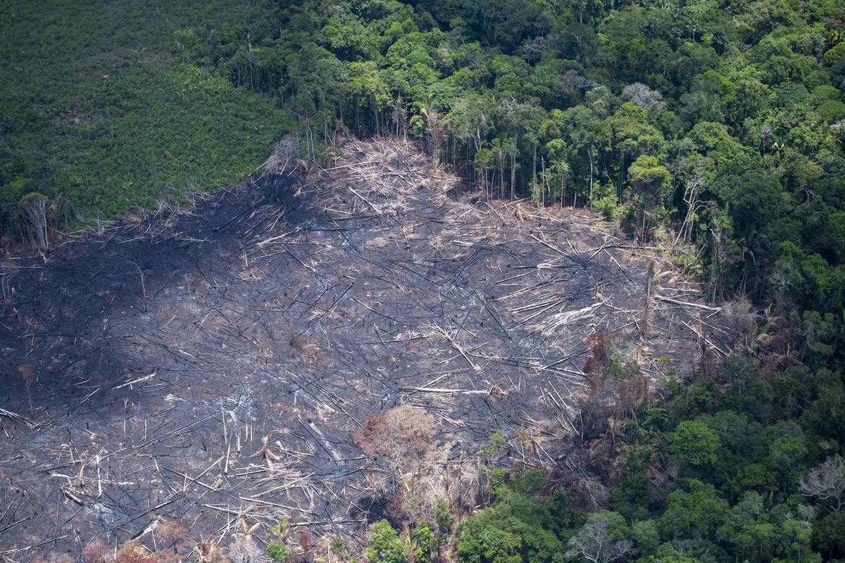 World Environment Day 