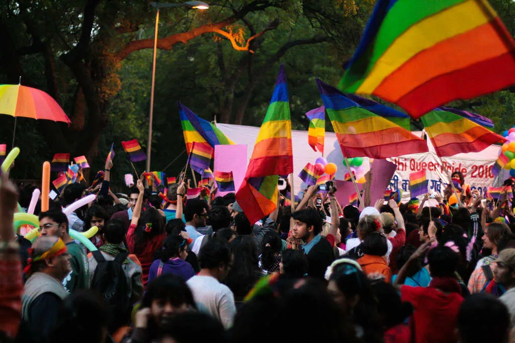 section 377