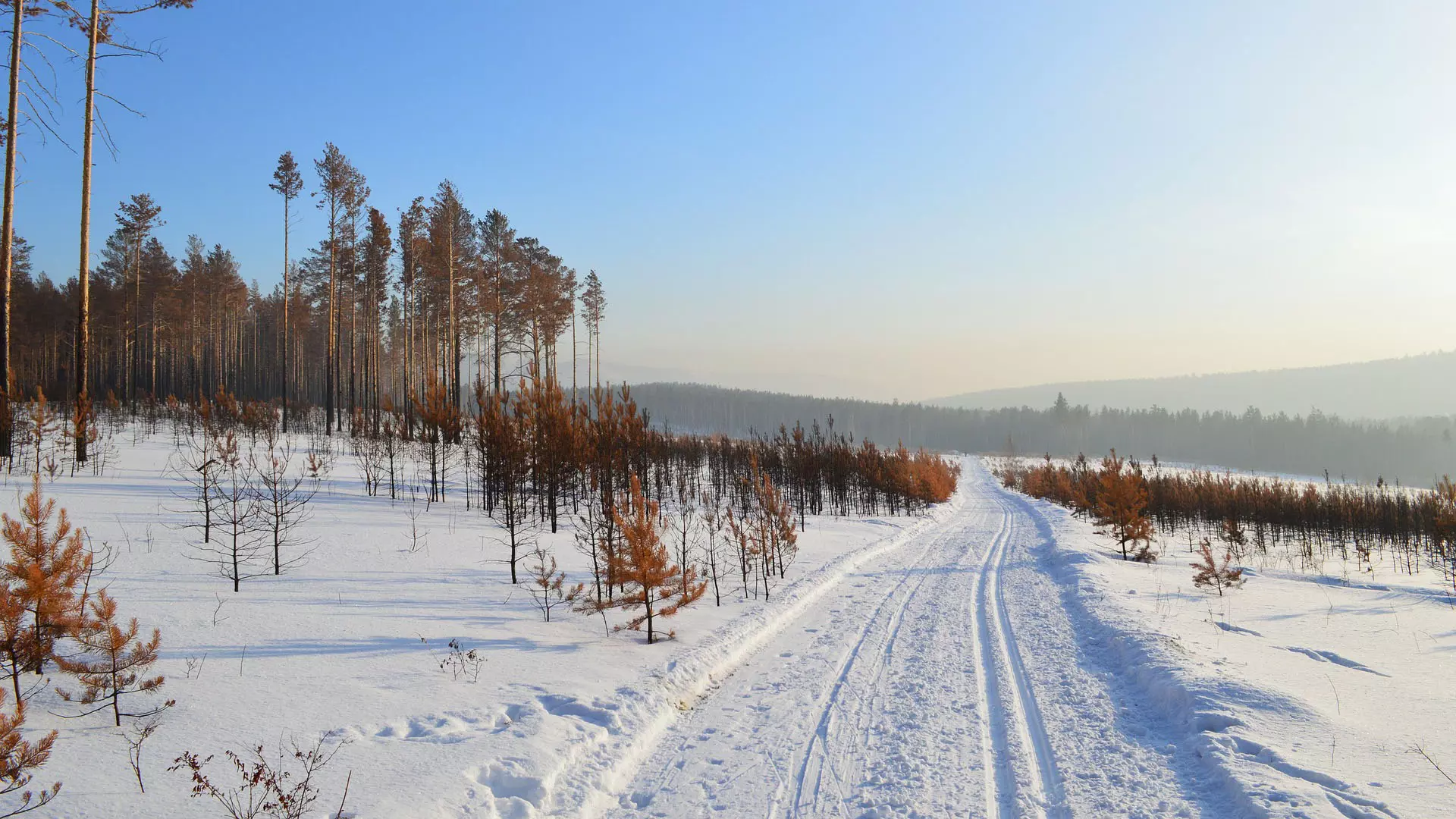 Climatic Regions