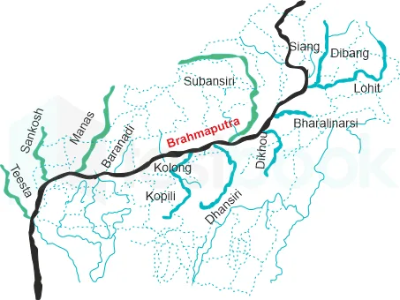 Drainage Patterns and Drainage Systems of India