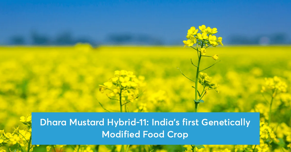 Genetically Modified Organism 