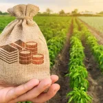 Doubling Farmers’ Income