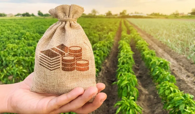 Doubling Farmers’ Income