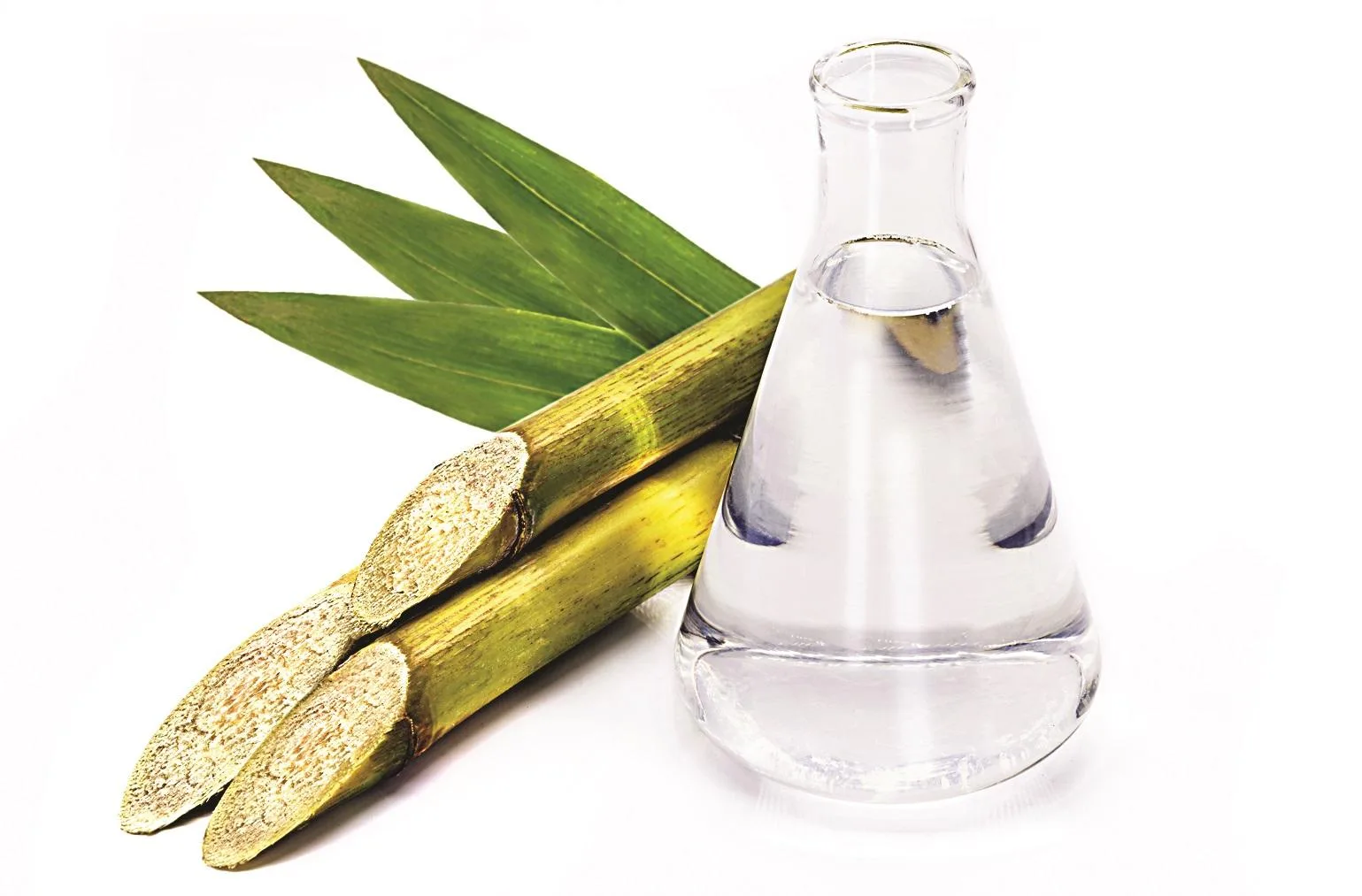 Sugar Industry