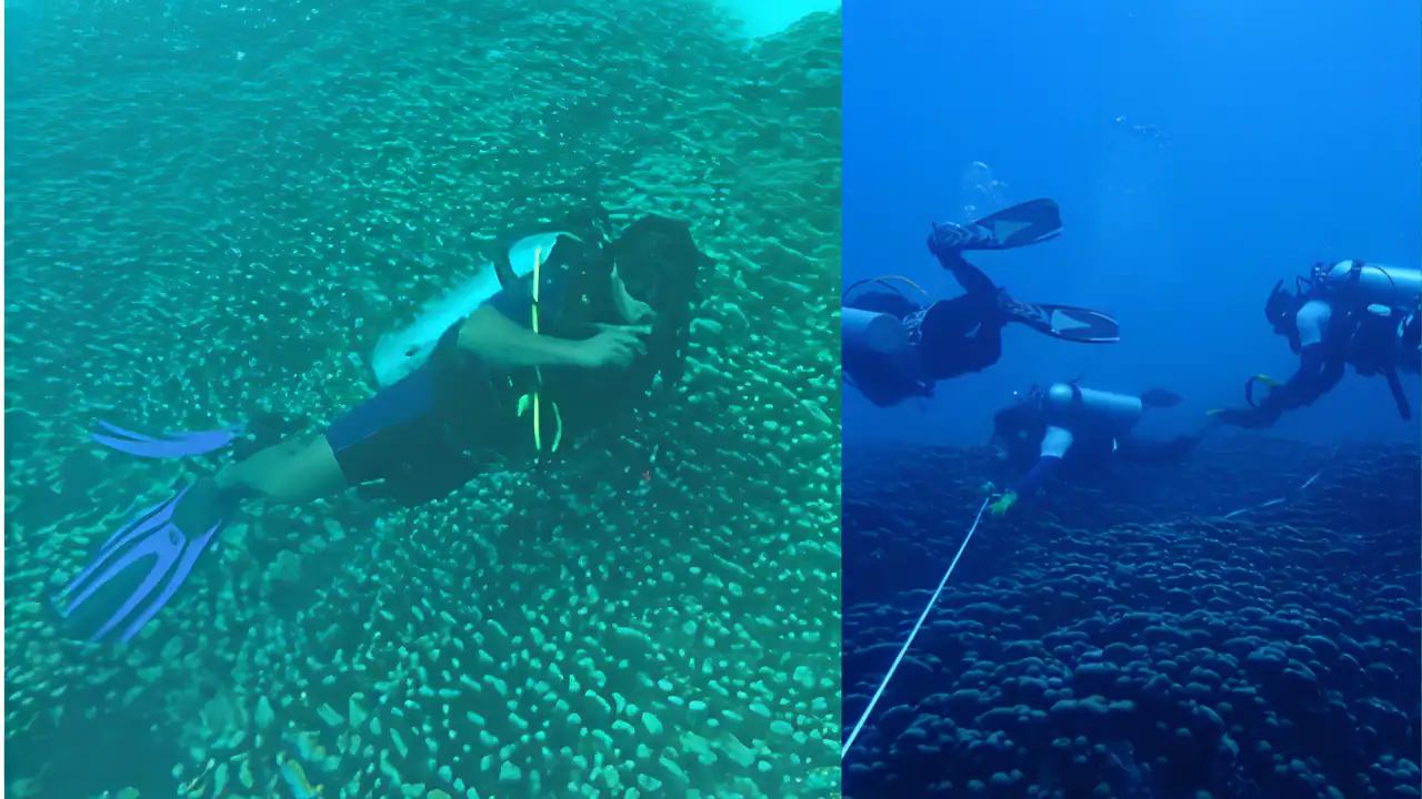 Lakshadweep Potato Patch Coral Colony Discovery Anil Menon Spacewalk Lakshadweep Potato Patch Coral Colony