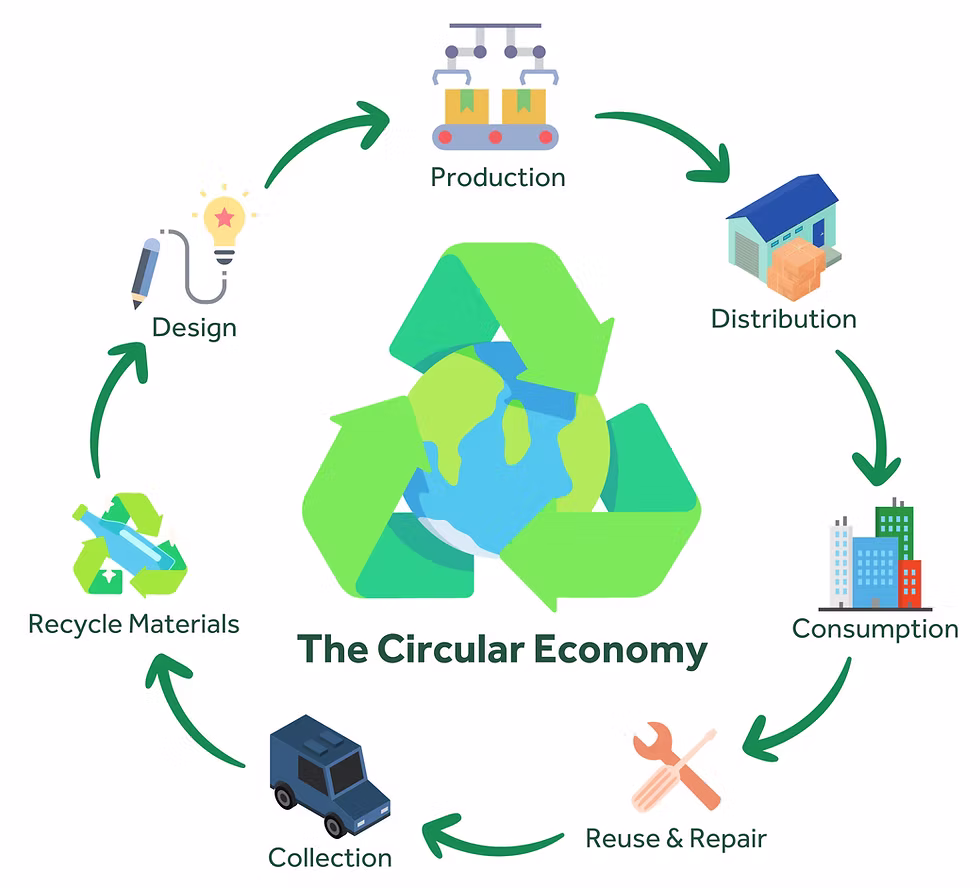 Green Economy and Circular Economy