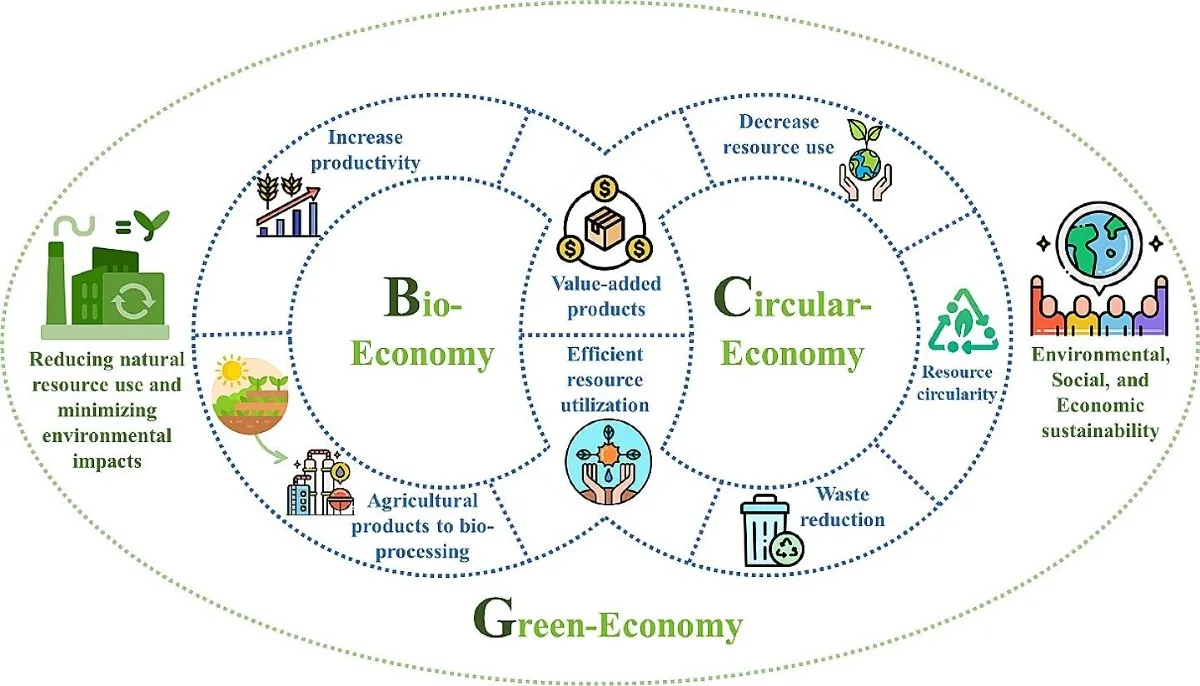 Green Economy and Circular Economy