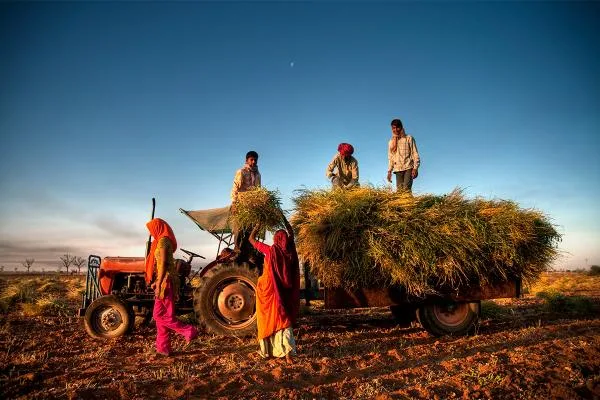 Agricultural Reforms