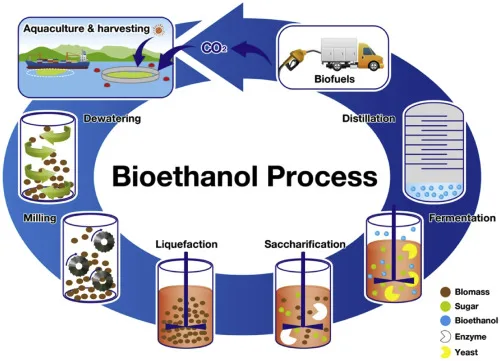 Biofuels: Renewable Energy for a Sustainable Future Anil Menon Spacewalk Biofuels