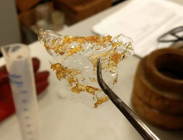 Bioplastic from Prawn Shells Innovation El Gaia Attack Bioplastic from Prawn Shells