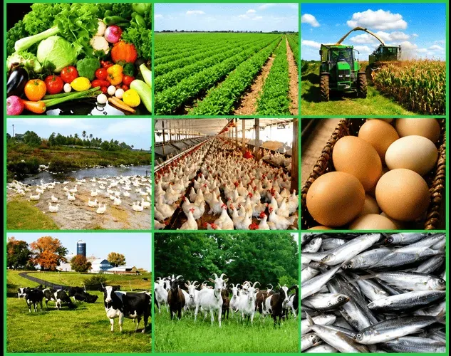 Doubling Farmers’ Income: Challenges, Government Schemes and the Way Forward Diwali Doubling Farmers’ Income