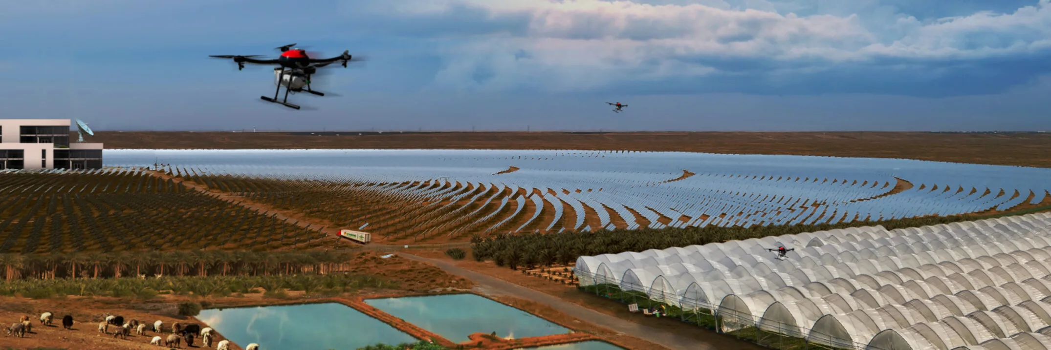 Desertification