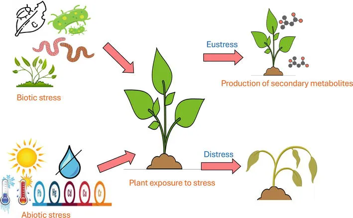 Genetically Modified Organism 