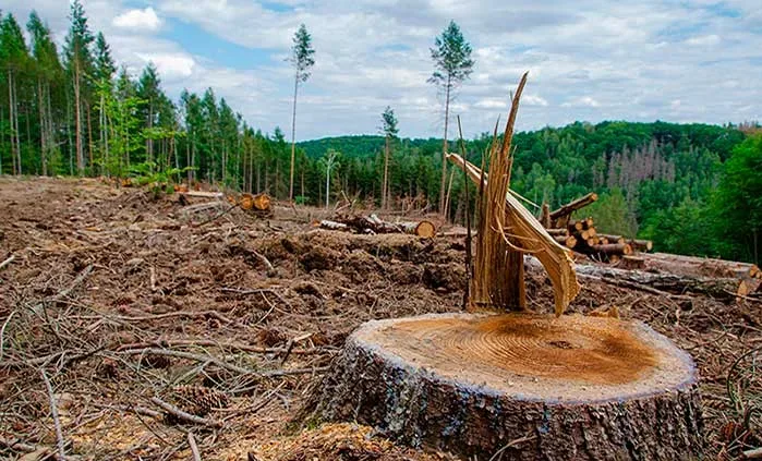 Eco-Sensitive Zones