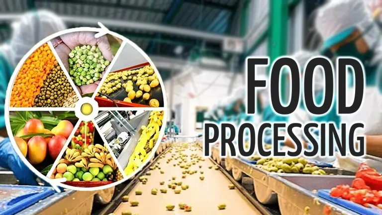 Food Processing in India: Growth, Importance, Challenges and Government Initiatives El Gaia Attack Food Processing in India