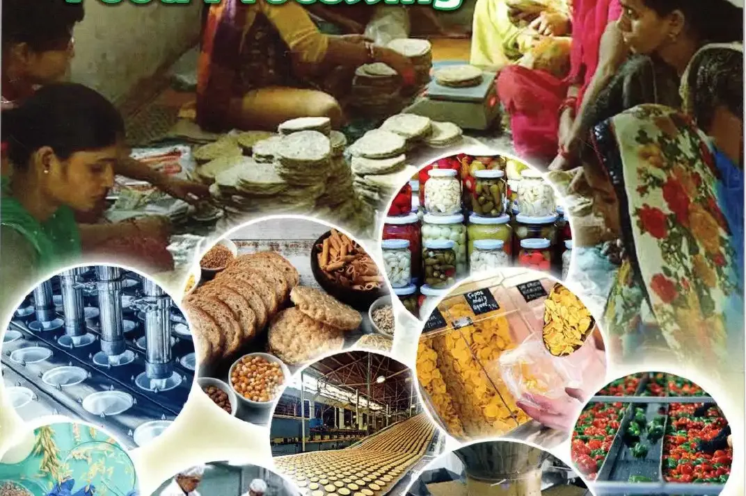Food Processing in India