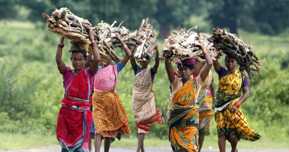 Forest Rights Act