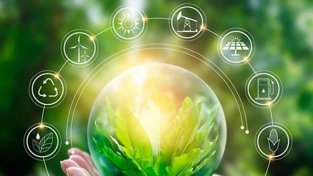 Green Economy and Circular Economy