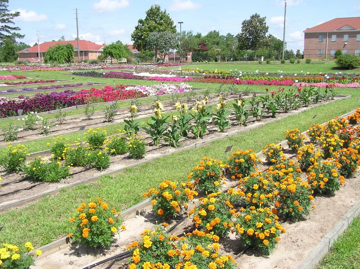 Horticulture Sector in India