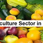Horticulture Sector in India