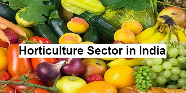 Horticulture Sector in India