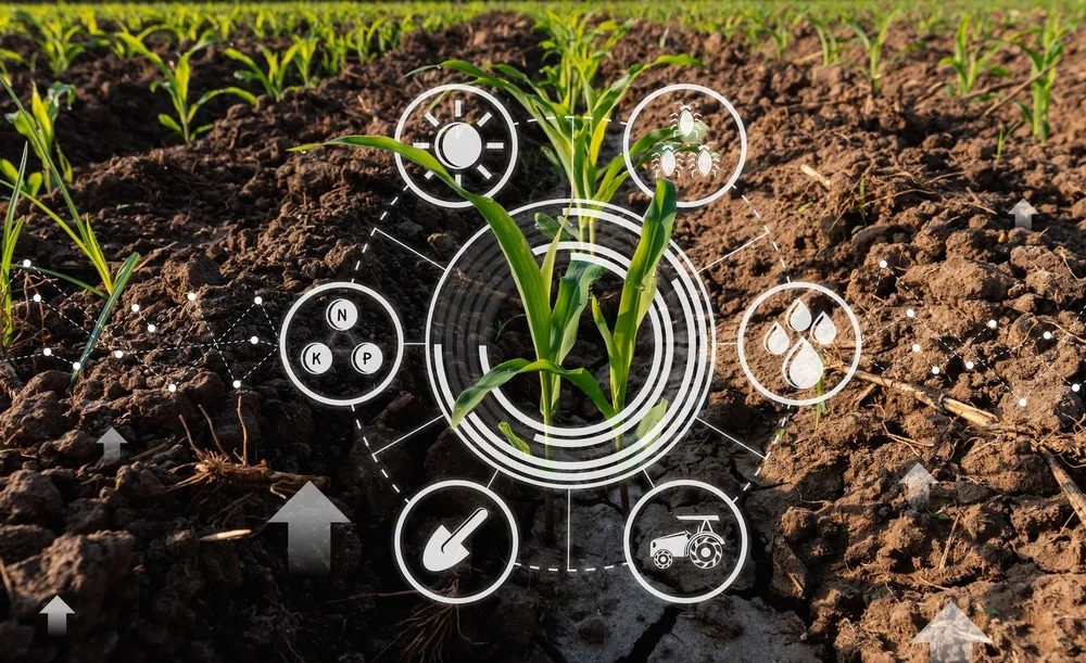 Biotechnology and Its Applications 