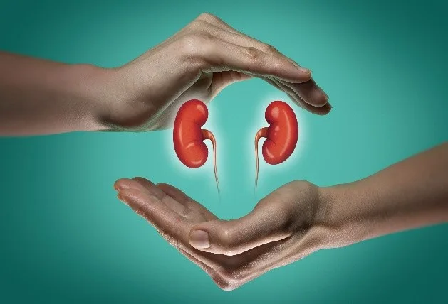 India Organ Donation